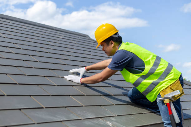 Roof Gutter Cleaning in North Liberty, IN